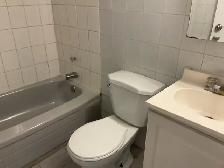 Newly Renovated 2 Bedroom Apartments Available - Photo 7