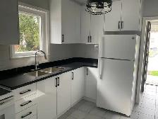 Newly Renovated 2 Bedroom Apartments Available - Photo 8