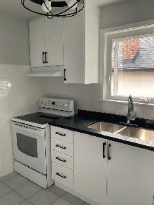 Newly Renovated 2 Bedroom Apartments Available - Photo 9