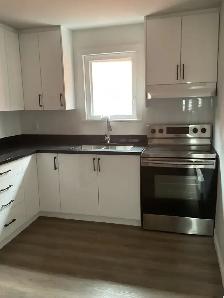 Newly Renovated 2 Bedroom Apartments Available - Photo 13