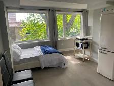 Furnished Bachelor Unit | Roncesvalles Village | Available Now - Photo 2