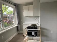Furnished Bachelor Unit | Roncesvalles Village | Available Now - Photo 4