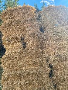 Square bale hay - Photo 3