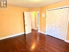 $2600 INCLUSIVE. EXCELLENT WEST END LOCATION. - Photo 7