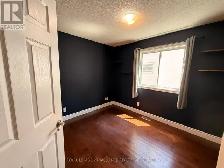 $2600 INCLUSIVE. EXCELLENT WEST END LOCATION. - Photo 9