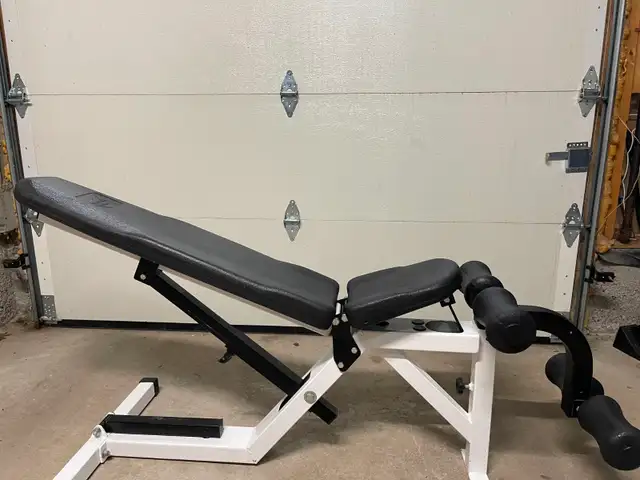 Multi Purpose Bench Northern Lights gym weights exercise