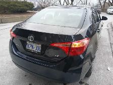 2019 Toyota Corolla LE Sedan/Mint Condition