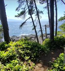 ECE / EA – Junior Hikers Outdoor Adventure Program - Photo 5