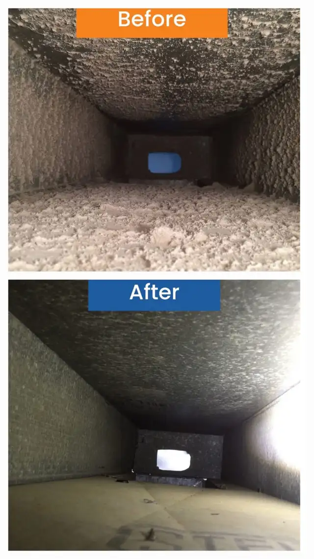 CLEAN AND CLEAR (647-559-6568)
