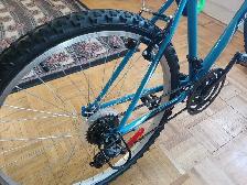 Supercycle Mountain Bike - Photo 6
