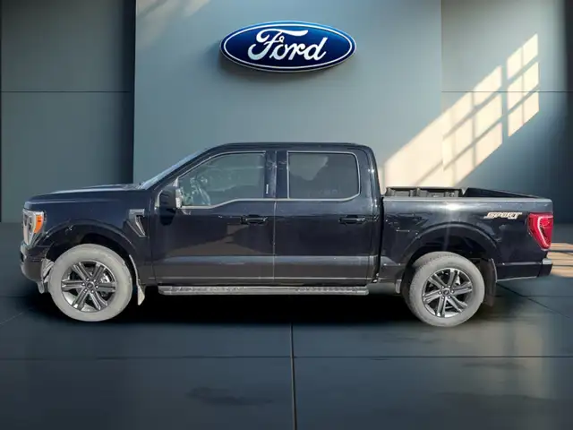 2023 Ford F-150 XLT 4WD SuperCrew 5.5' Box for sale
