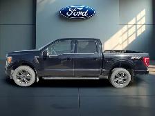 2023 Ford F-150 XLT 4WD SuperCrew 5.5' Box for sale