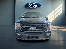 2023 Ford F-150 XLT 4WD SuperCrew 5.5' Box for sale - Photo 3