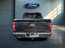 2023 Ford F-150 XLT 4WD SuperCrew 5.5' Box for sale - Photo 5