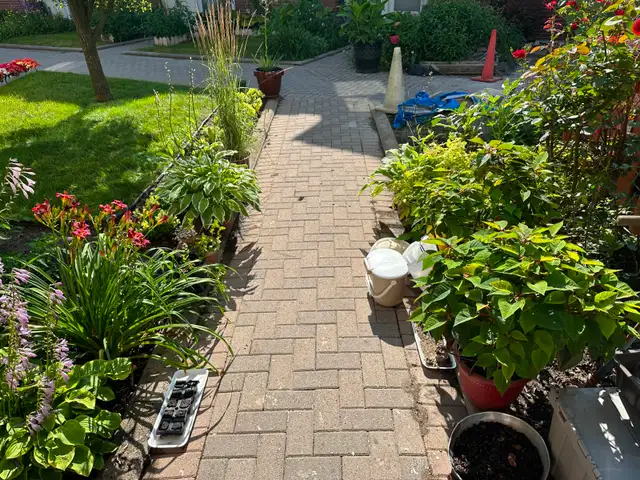 Ideal location. close to all amenities