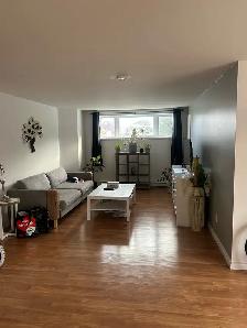 logement à louer
