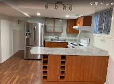 $1,800 - ONE   BEDROOM   BASEMENT   APARTMENT   BATHURST / STEEL - Photo 5