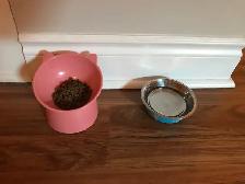 Loving kitten - Photo 8