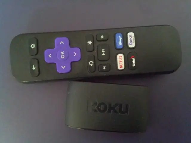 Roku works great