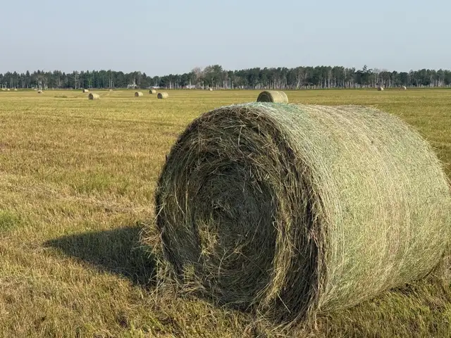 Round Hay Bales
