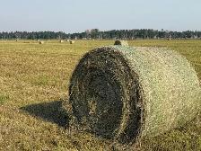 Round Hay Bales
