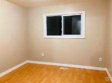 1 BEDROOM AVAILABLE FOR RENT HUMBER COLLEGE AND FINCH - Photo 3