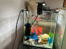 2 Aquariums à vendre - Photo 3