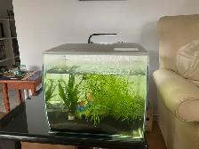 2 Aquariums à vendre - Photo 5