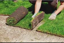 Sod installation - Photo 3