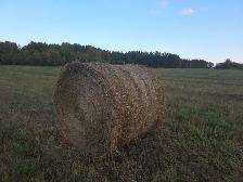 hay bales for sale