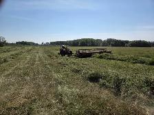 hay bales for sale - Photo 4
