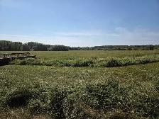 hay bales for sale - Photo 5