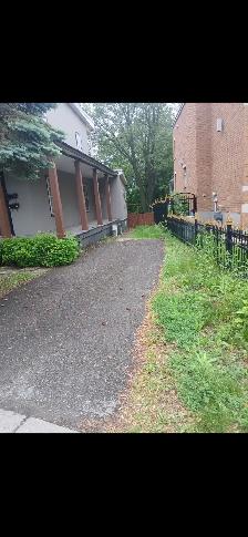 Bel appartement dans ahuntsic/Cartierville - Photo 2
