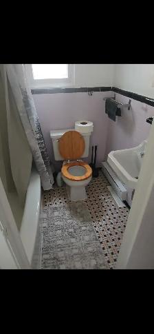 Bel appartement dans ahuntsic/Cartierville - Photo 9