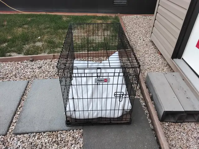 Dog Cage