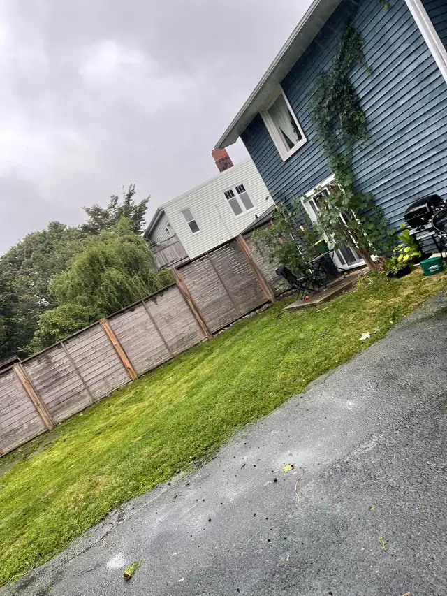 Bush Trimming/ small Treee Trimming & Landscaping