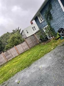 Bush Trimming/ small Treee Trimming & Landscaping