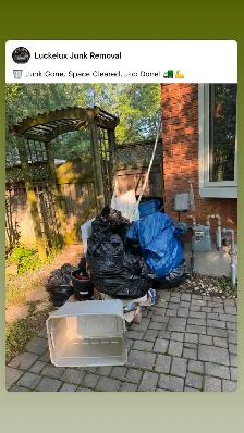 Junk Removal - Photo 3