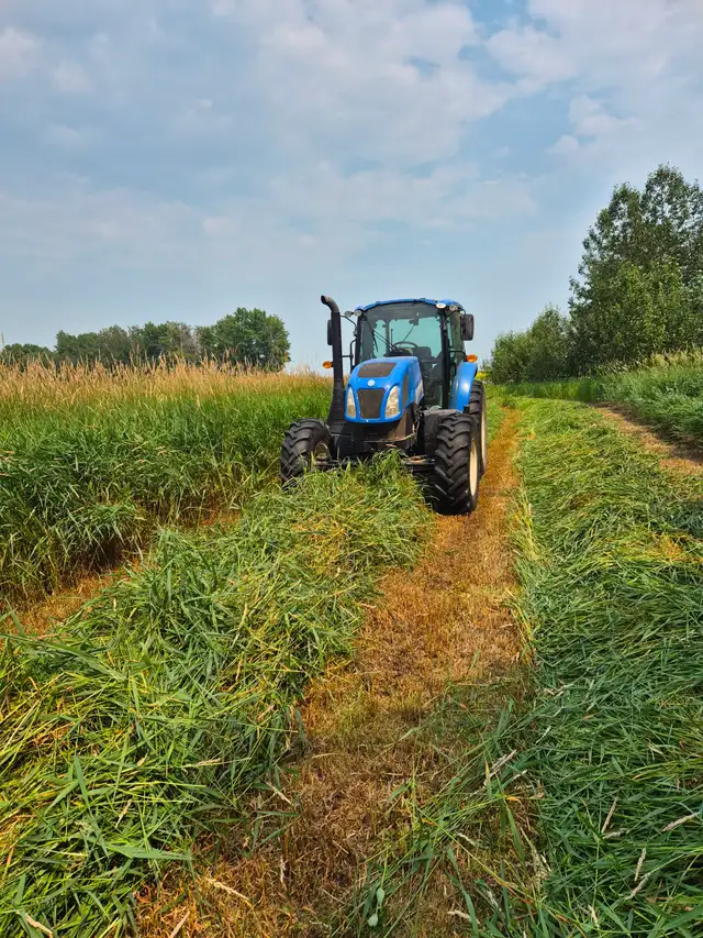 Grass hay for sale