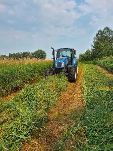 Grass hay for sale