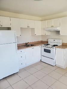 Newly Renovated & Close to Transit One Bedroom Suite