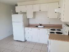 Newly Renovated & Close to Transit One Bedroom Suite - Photo 2