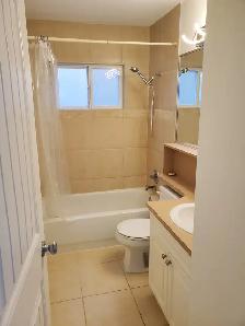 Newly Renovated & Close to Transit One Bedroom Suite - Photo 4