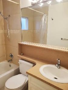Newly Renovated & Close to Transit One Bedroom Suite - Photo 5