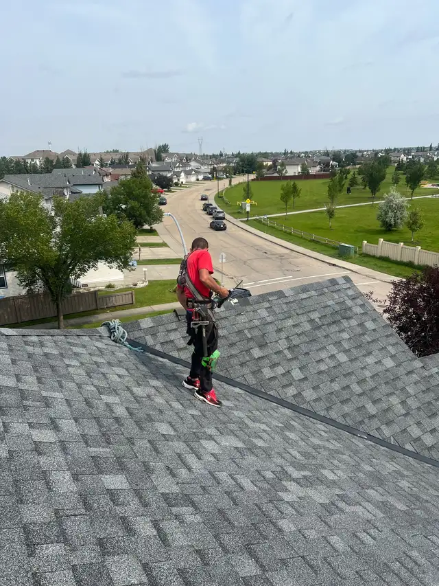 Roofing Shingler & labour wanted