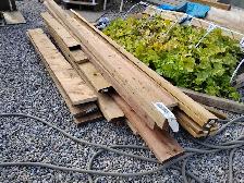 Pressure Treated L:umber -  2' and 4 x 4 - Photo 2