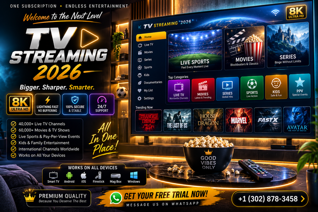 Digital Entertainment Streaming Service
