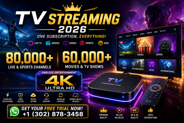 Digital Entertainment Streaming Service