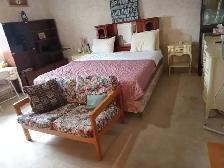 Live in a room in a Mansion in St. Catharines-Roomies Wanted - Photo 6