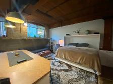 Sublet: Parkdale Loft (Studio) for 3-6 months - Photo 4
